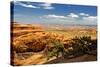 Devils Garden - Landscape - Arches National Park - Utah - United States-Philippe Hugonnard-Stretched Canvas