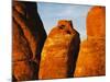 Devils Garden Sandstone Monuments-James Randklev-Mounted Photographic Print