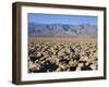 Devils Golf Course, Death Valley National Park, California, United States of America, North America-Richard Cummins-Framed Photographic Print
