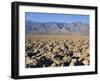 Devils Golf Course, Death Valley National Park, California, United States of America, North America-Richard Cummins-Framed Photographic Print