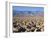 Devils Golf Course, Death Valley National Park, California, United States of America, North America-Richard Cummins-Framed Photographic Print