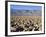 Devils Golf Course, Death Valley National Park, California, United States of America, North America-Richard Cummins-Framed Photographic Print