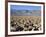 Devils Golf Course, Death Valley National Park, California, United States of America, North America-Richard Cummins-Framed Photographic Print