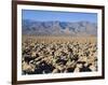 Devils Golf Course, Death Valley National Park, California, United States of America, North America-Richard Cummins-Framed Photographic Print