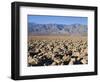 Devils Golf Course, Death Valley National Park, California, United States of America, North America-Richard Cummins-Framed Photographic Print