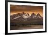 Devils Horn-Dan Ballard-Framed Photographic Print