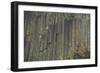 Devils Postpile, National Monument, Mammoth Mountain, Mammoth Lakes, California, USA-Gerry Reynolds-Framed Photographic Print