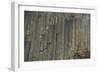 Devils Postpile, National Monument, Mammoth Mountain, Mammoth Lakes, California, USA-Gerry Reynolds-Framed Photographic Print