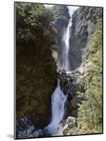 Devils Punchbowl Falls, 131M High, on Walking Track in Mountain Beech Forest, Southern Alps-Jeremy Bright-Mounted Photographic Print