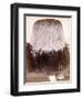 Devils Tower, 1887-Science Source-Framed Giclee Print