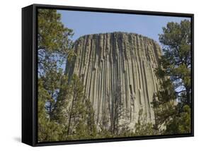 Devils Tower National Monument, East Wyoming, USA-Pete Oxford-Framed Stretched Canvas