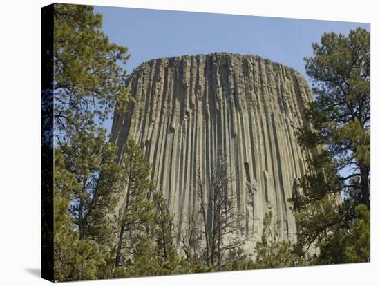 Devils Tower National Monument, East Wyoming, USA-Pete Oxford-Stretched Canvas