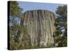 Devils Tower National Monument, East Wyoming, USA-Pete Oxford-Stretched Canvas