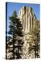 Devils Tower National Monument in Wyoming-Paul Souders-Stretched Canvas