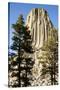 Devils Tower National Monument in Wyoming-Paul Souders-Stretched Canvas