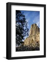 Devils Tower National Monument in Wyoming-Paul Souders-Framed Photographic Print