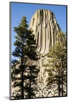 Devils Tower National Monument in Wyoming-Paul Souders-Mounted Photographic Print