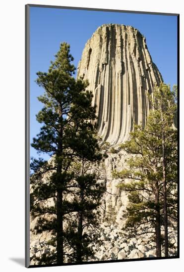 Devils Tower National Monument in Wyoming-Paul Souders-Mounted Photographic Print