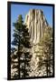 Devils Tower National Monument in Wyoming-Paul Souders-Framed Photographic Print