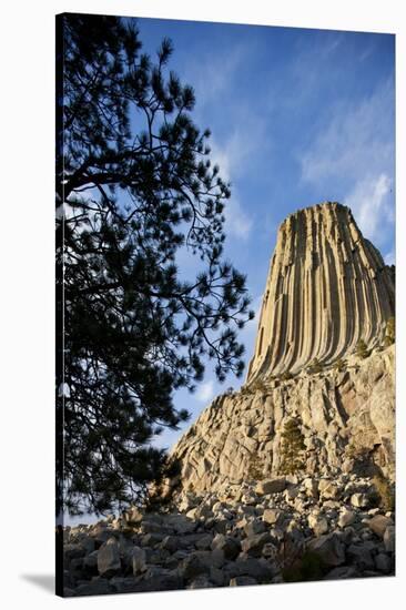 Devils Tower National Monument in Wyoming-Paul Souders-Stretched Canvas