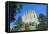 Devils Tower National Monument, Wyoming, United States of America, North America-Michael Runkel-Framed Stretched Canvas