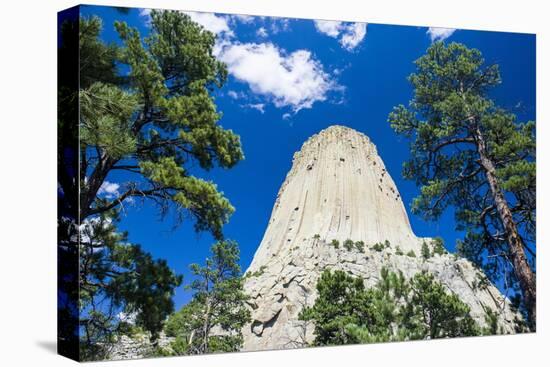 Devils Tower National Monument, Wyoming, United States of America, North America-Michael Runkel-Stretched Canvas