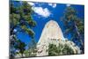 Devils Tower National Monument, Wyoming, United States of America, North America-Michael Runkel-Mounted Photographic Print