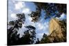 Devils Tower National Monument, Wyoming-Paul Souders-Stretched Canvas