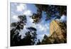 Devils Tower National Monument, Wyoming-Paul Souders-Framed Photographic Print