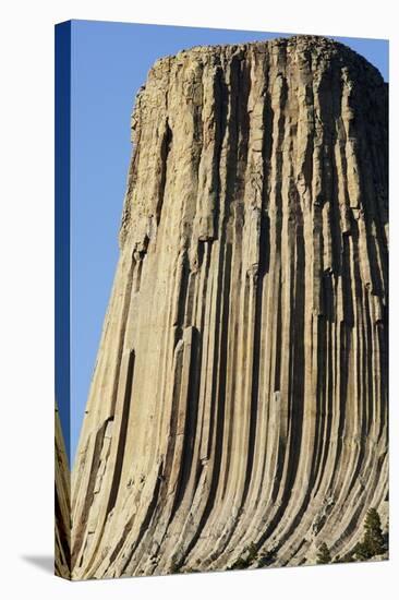 Devils Tower National Monument-Paul Souders-Stretched Canvas