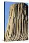 Devils Tower National Monument-Paul Souders-Stretched Canvas