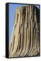 Devils Tower National Monument-Paul Souders-Framed Stretched Canvas