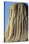 Devils Tower National Monument-Paul Souders-Stretched Canvas