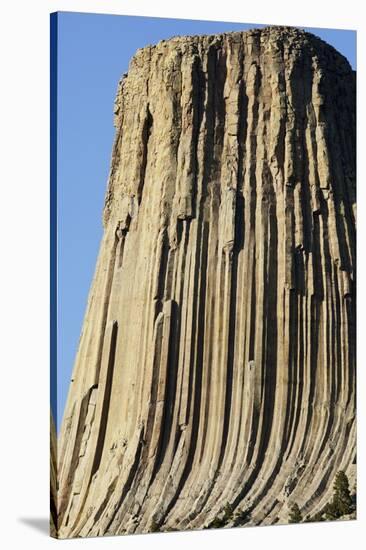 Devils Tower National Monument-Paul Souders-Stretched Canvas