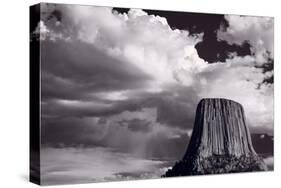 Devils Tower Wyoming BW-Steve Gadomski-Stretched Canvas