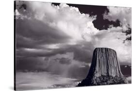 Devils Tower Wyoming BW-Steve Gadomski-Stretched Canvas