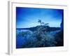 Devin Castle, Danube River, Bratislava, West Slovakia-Walter Bibikow-Framed Photographic Print