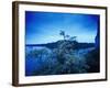 Devin Castle, Danube River, Bratislava, West Slovakia-Walter Bibikow-Framed Photographic Print