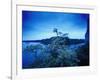 Devin Castle, Danube River, Bratislava, West Slovakia-Walter Bibikow-Framed Photographic Print