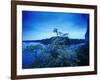 Devin Castle, Danube River, Bratislava, West Slovakia-Walter Bibikow-Framed Photographic Print