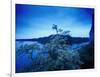 Devin Castle, Danube River, Bratislava, West Slovakia-Walter Bibikow-Framed Photographic Print