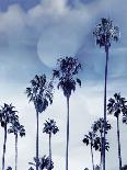 Palm Tree Blue II-Devon Davis-Art Print