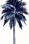 Beach Palms I-Devon Davis-Laminated Art Print