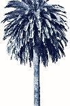 Beach Palms Indigo I-Devon Davis-Art Print