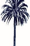 Beach Palms I-Devon Davis-Laminated Art Print