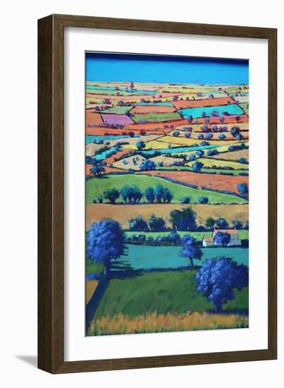 Devon II (Acrylic on Board)-Paul Powis-Framed Giclee Print