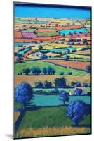 Devon II (Acrylic on Board)-Paul Powis-Mounted Giclee Print