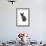 Devon Rex Cat-Fabio Petroni-Framed Photographic Print displayed on a wall