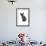 Devon Rex Cat-Fabio Petroni-Framed Photographic Print displayed on a wall