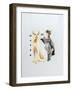 Devon Rex-Barbara Keith-Framed Giclee Print